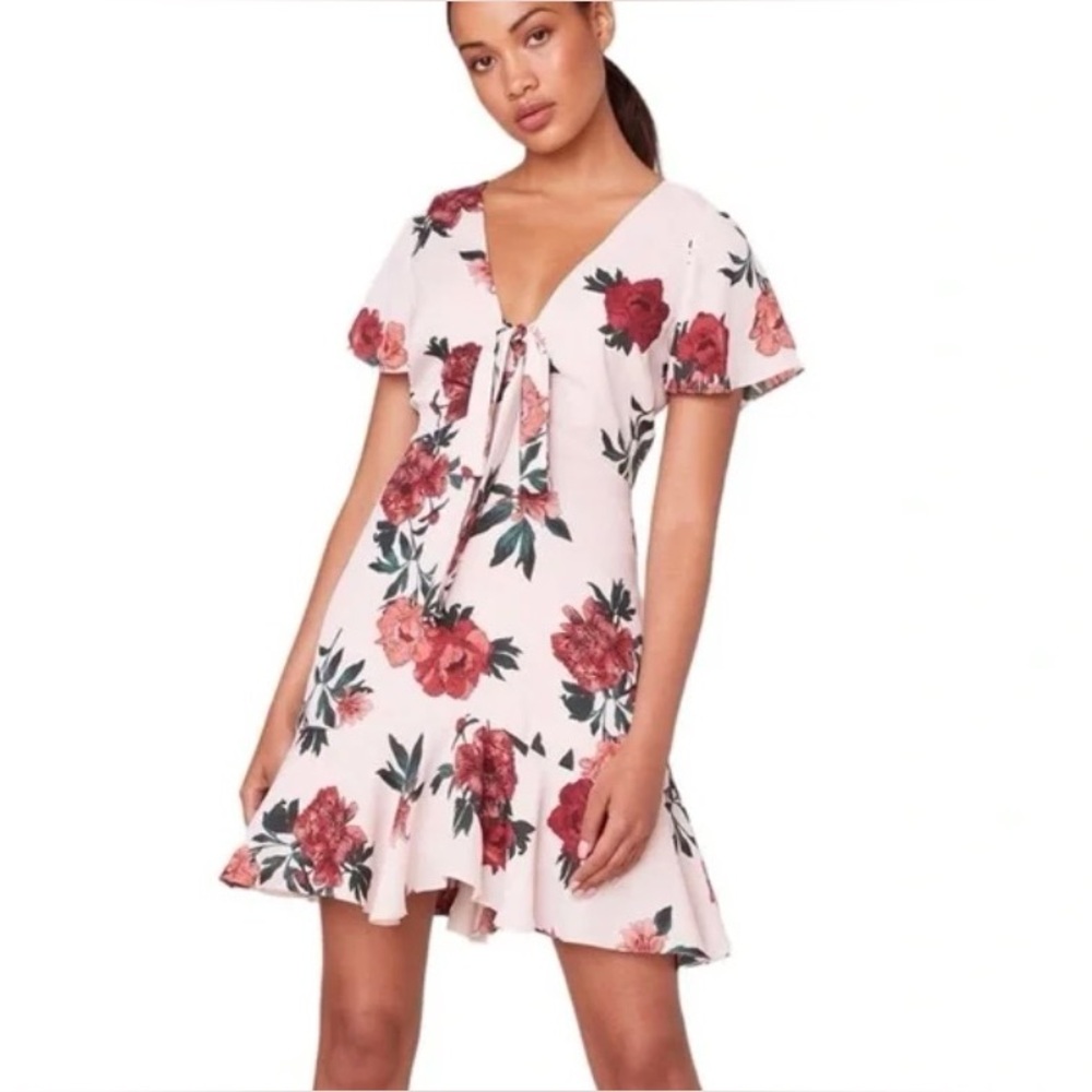 BB Dakota Pink Ruffled Mini Dress with Flutter Sleeves Size 0